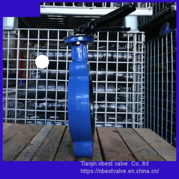 DN100 Marine Wafer Butterfly Valve With NPT Thread photo-2