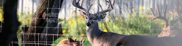 New Design Fixed Knot Woven Wire Deer Fencing for Sale photo-5