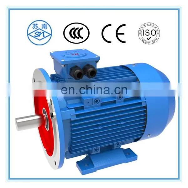 YE3 Series Electric Motor Sale Three Phase Induction Motor for Industry Machinery 3 Phase Asynchronous Motor photo-3