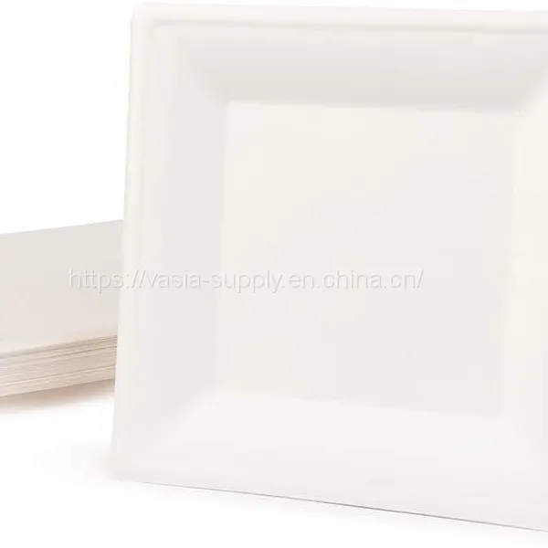 10 Inch Wholeasale Price Eco Friendly Biodegradable Sugarcane Bagasse Square Plate China Supplier photo-2
