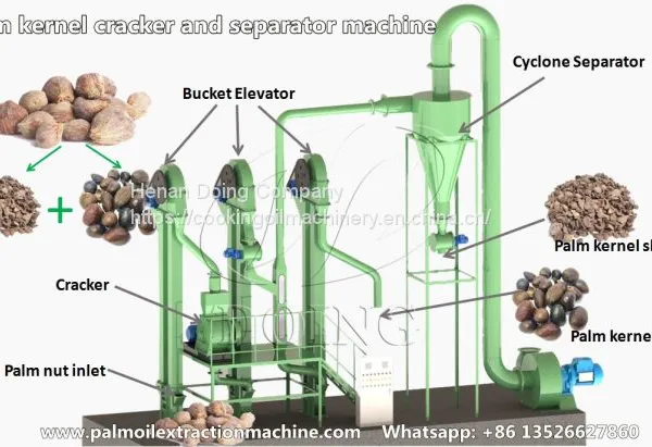 Doing Brand Palm Kernel Process Machine to Get Complete Palm Kernel With High Efficiency photo-2