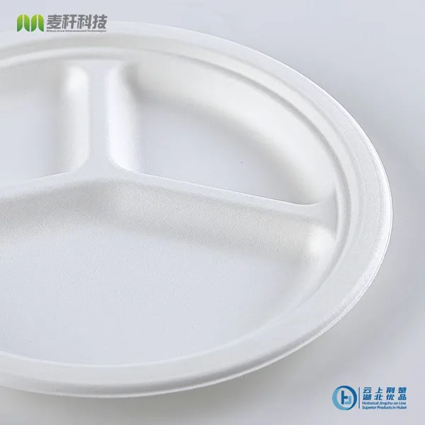 Disposable Biodegradable 10 INCH 3C PLATE Take Away Sugarcane photo-3