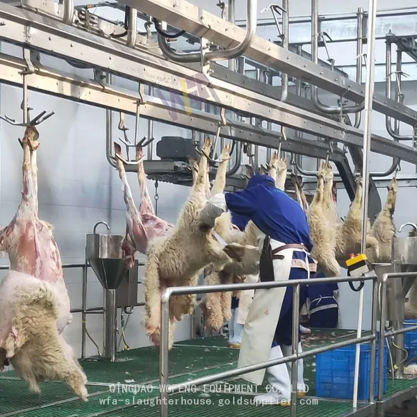 Sheep Equipment Foreleg Conveyor For Goat Slaughter House photo-5