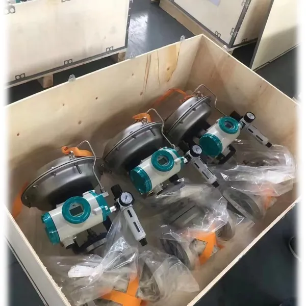 Cast Iron Globe Type Regulating Valve for Steam Flow Control photo-3
