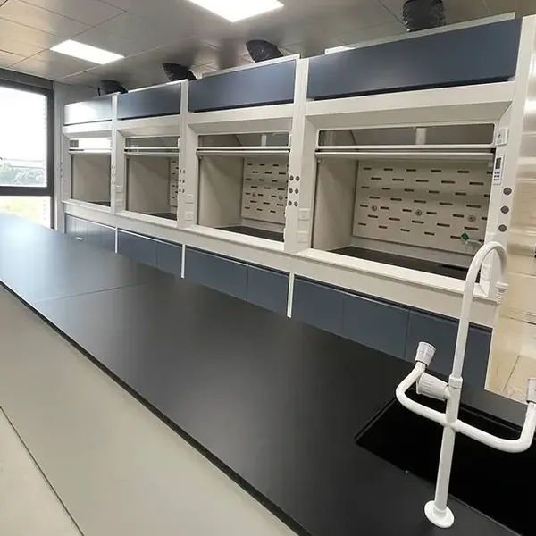 All-Steel Fume Hood T6 photo-2