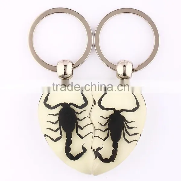 2016 New Keychain With Real Insect photo-2