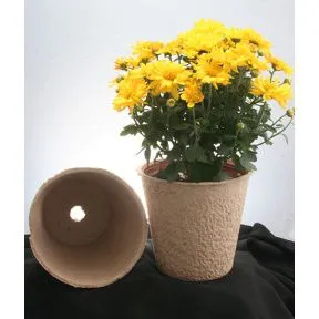 Biodegradable Paper Pulp Seedling Tray,30 Cells, 128cell,144cel Seeding Tray, photo-2