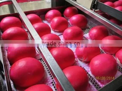TY-810 Meat Pie Making Machine photo-4