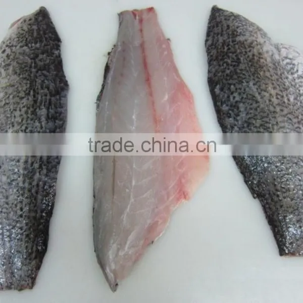 Frozen Barramundi Fillet photo-2