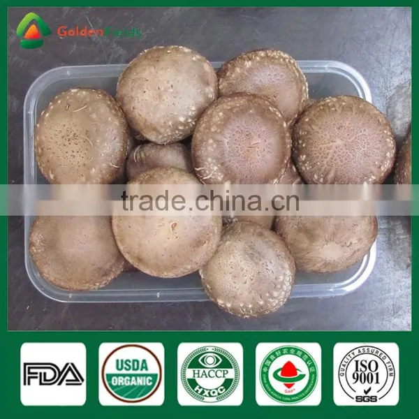 Shiitake Mushroom ,Shiitake Mycelium,Wild Mushroom photo-2