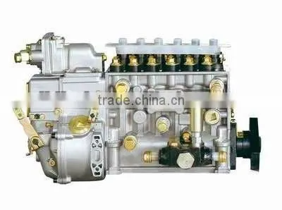 Fuel Pump BP5022A/CB6P827(VG1560080022) 612600083151