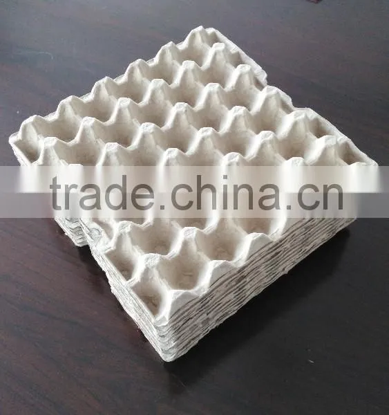 Molded Fiber Product Machine photo-5