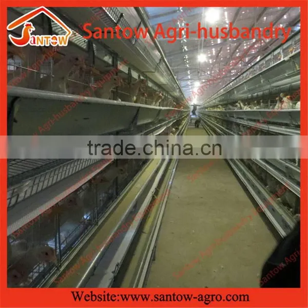 Stable Steel Structure Chicken Egg Layer Cage Chicken House Floor photo-4