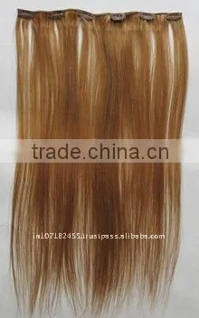 Virgin Indian Remy Hair Clip on Extension