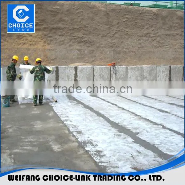 Polyethylene Polypropylene Fiber Waterproof Membrane photo-5