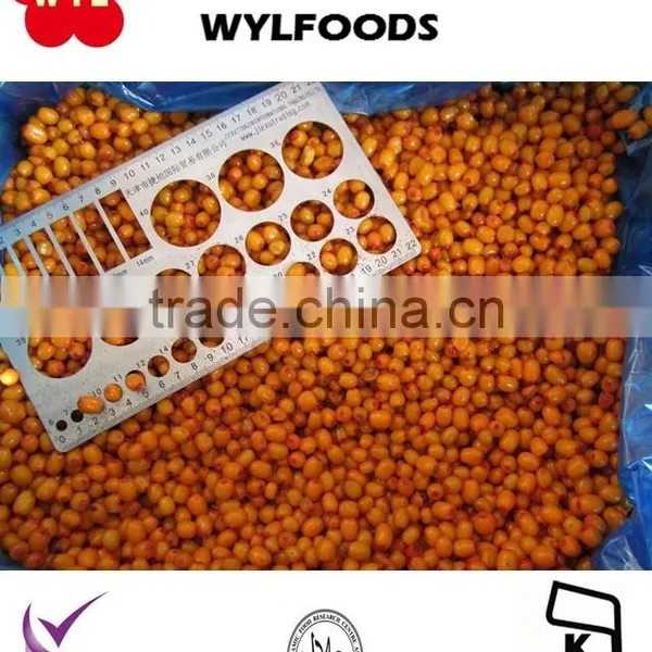 New Seasion Frozen Sea Buckthorn Fruit photo-3
