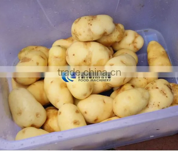 Commercial Close Type Potato Peeling Machine Lotus Root Polishing Machine With CE photo-4