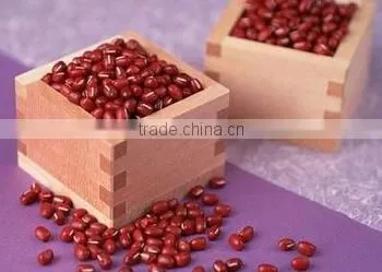JSX Chinese Production Red Speckled Beans Cost Price Red Eye Beans photo-3
