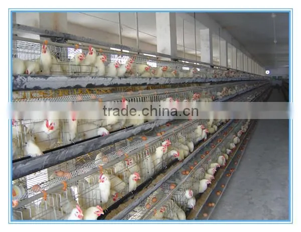 Used Poultry Equipment Poultry Slaughtering Equipment