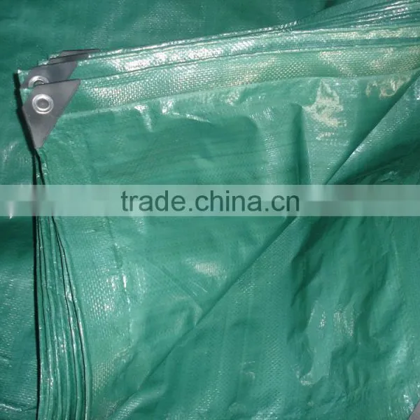 Green pe Tarpaulin for Truck(in Piece) photo-2
