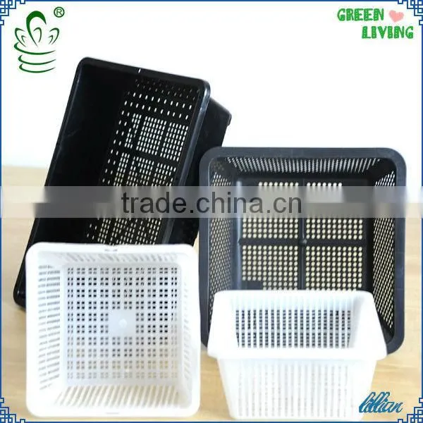 PP HOT SALE Plastic Growing Tray photo-3