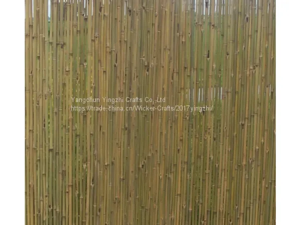 Bamboo fence with string