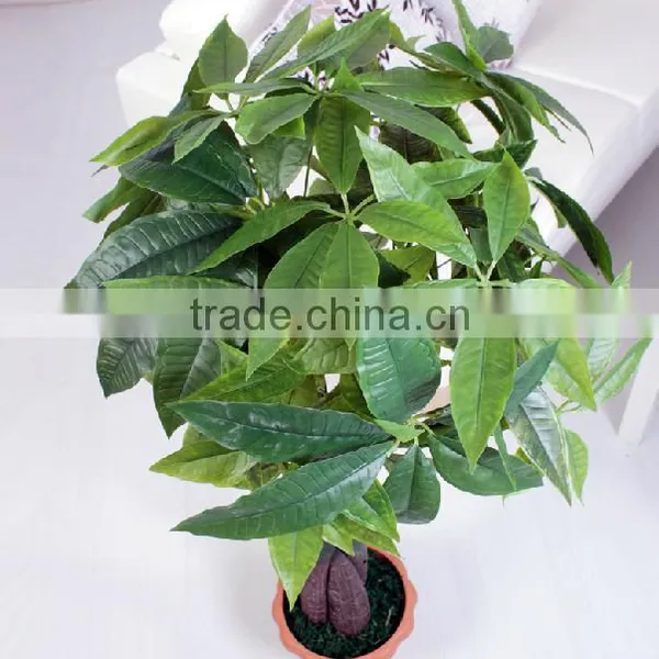 Guanghzou High Simulation Indoor & Outdoor Artifcial Pachira Macrocarpa Tree photo-3