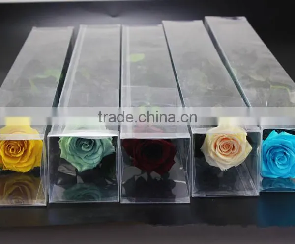 Fresh Cut Flowers Roses Long Lasting Big Rose Flower With Stem photo-2
