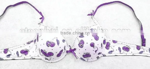 Cherry Bra/ Fashion Spandex Bra Sexy Bra Underwear Made in China photo-3