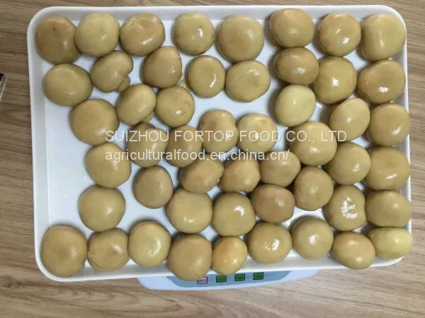Factory Price Premium Canned Mushroom Whole in Brine 2840G
