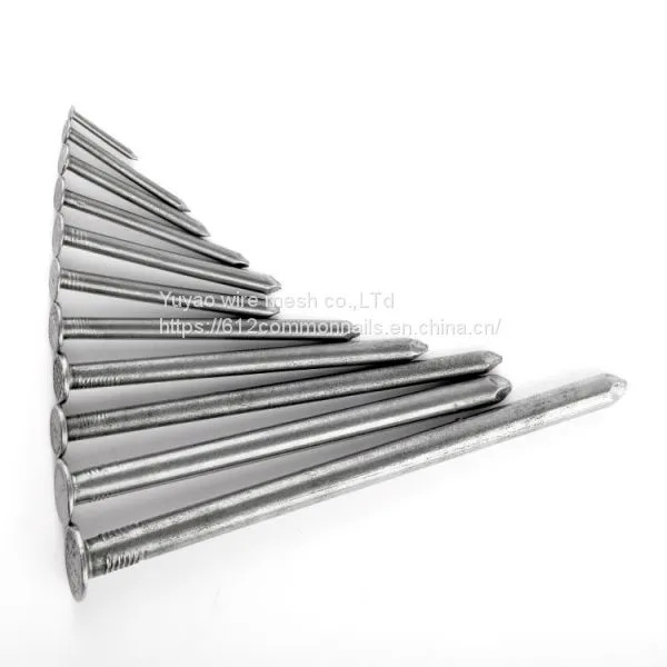 Iron Nails Construction Common Nail photo-2