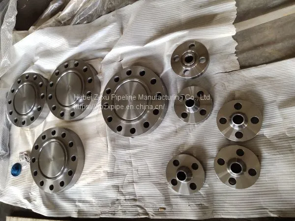 Professional Production of 16Mn Alloy Flange Direct Selling Factory photo-2