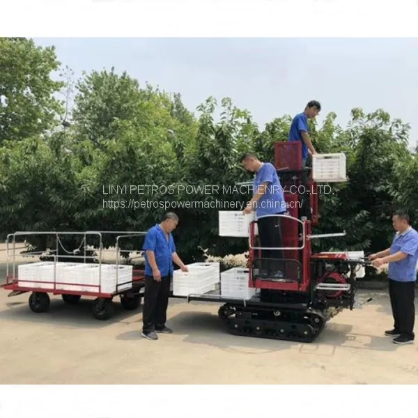 Garden Self-walking Truck Orchard Bagging Picking Lifting Platform 4GPZ-120 photo-3