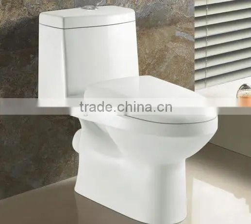 Sanitary Ware European One Piece Water Closet Toilet photo-2
