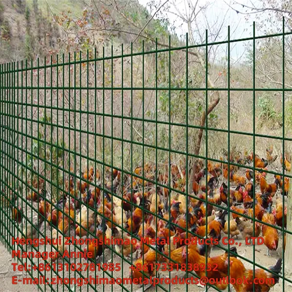 PVC-Welded Wire Mesh/flower and Wood Fences/ vinyl Coat Wire Mesh/ plastic Wire Mesh photo-4