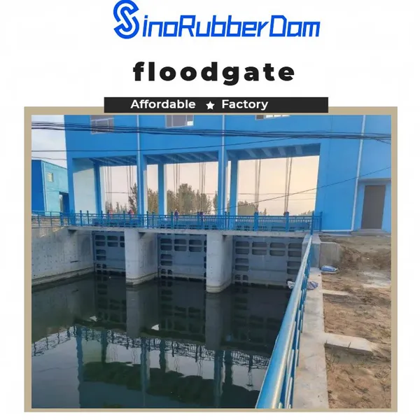 High Quality Steel Sluice Gate for Water Conservancy photo-3