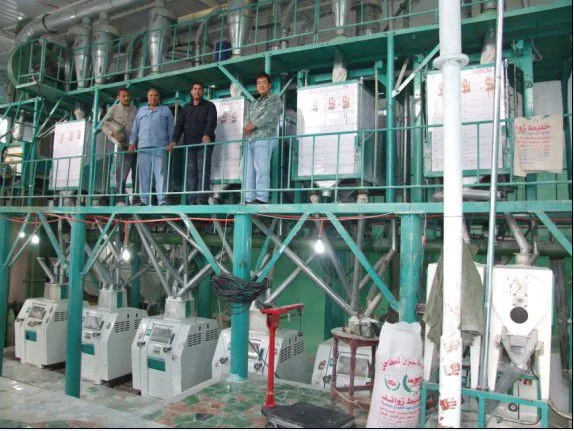 Rice/Wheat/Corn/Maize Flour Production Equipment/ Mills Processing/ Flour Milling Machinery Price photo-2