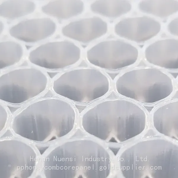 PP Honeycomb With Non-Woven for Caravan photo-3