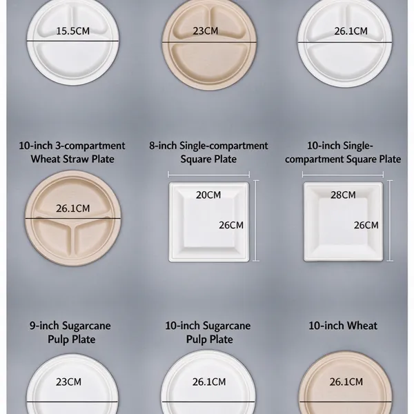 Sugarcane Bagasse Compartment Plate Wholesale, OEM Custom Service, Molded Fiber Divided Plate With After-Sales Support photo-4