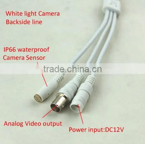 Colin Supply China Patent New White Light Technology Support Color Night Vision Indoor Security Camera Indoor Dome Cctv photo-4