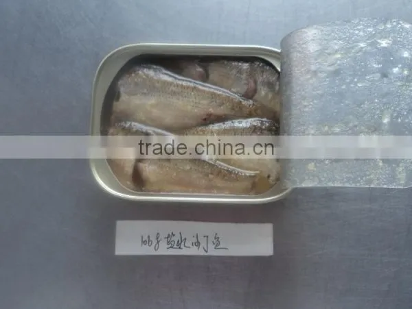 High Quality Canned Sardines in Brine photo-5
