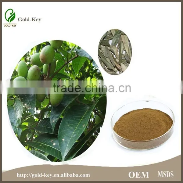 China Supply Olive Leaf Extract, Olive Leaf Powder photo-5