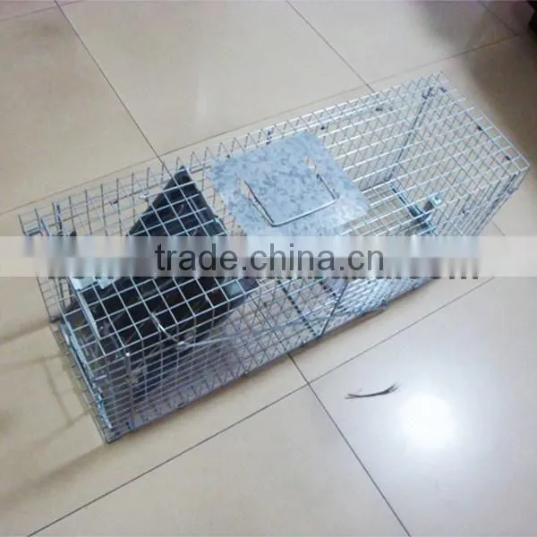 Collapsible Live Animal Hunting Trap