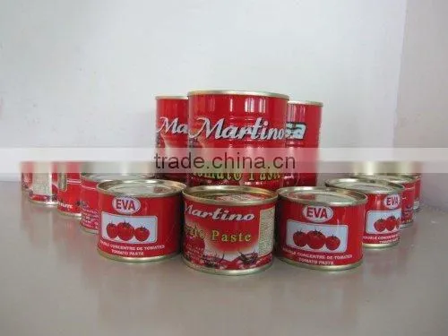 Factory Supply OEM Brand Canned Tomato Paste 70g*100tins photo-4