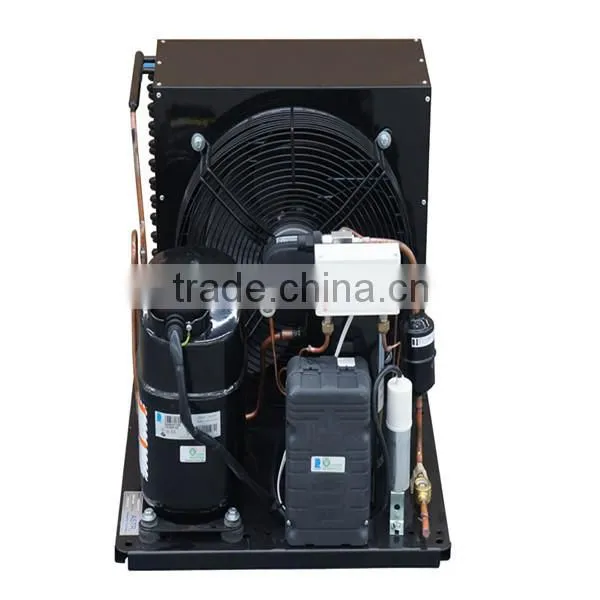 Small Type Hermetic Compressor Condensing Unit JDL-100 photo-3