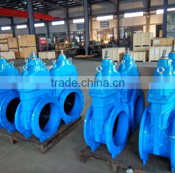 Ductile Iron Gate Valve photo-6