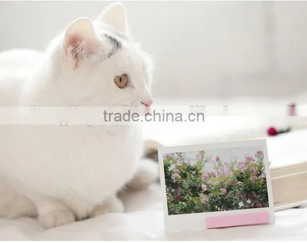 FujiFilm Instax Wide Film ( 20 Sheets ) photo-6