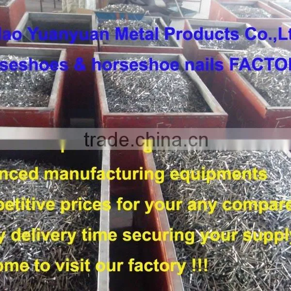China Factory Direct Wholesale Stainless Steel Farrier Horseshoe Nails for Sale