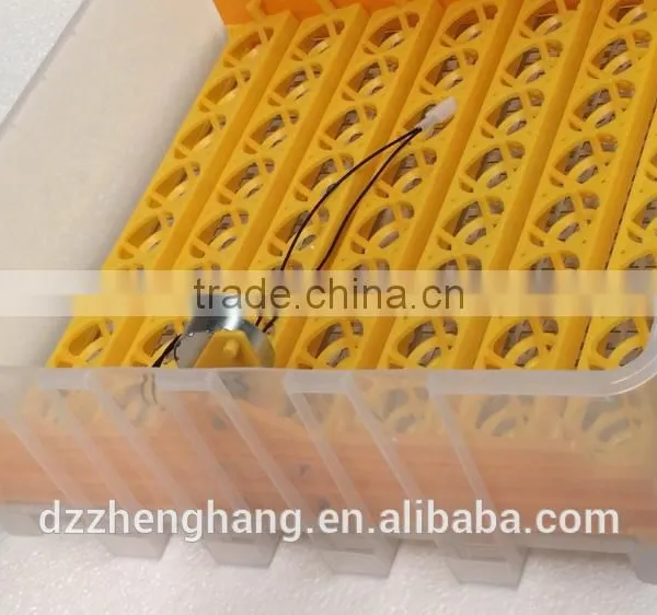 Cheap Mini 56 Egg Incubator Automatic ZH-56 Mini Egg Incubator for Sale photo-5