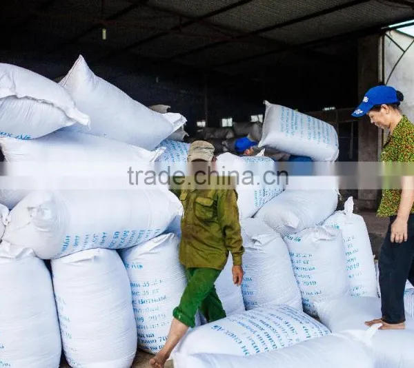 High Quality From Teaparis Vietnam Green Tea Super Pekoe photo-5